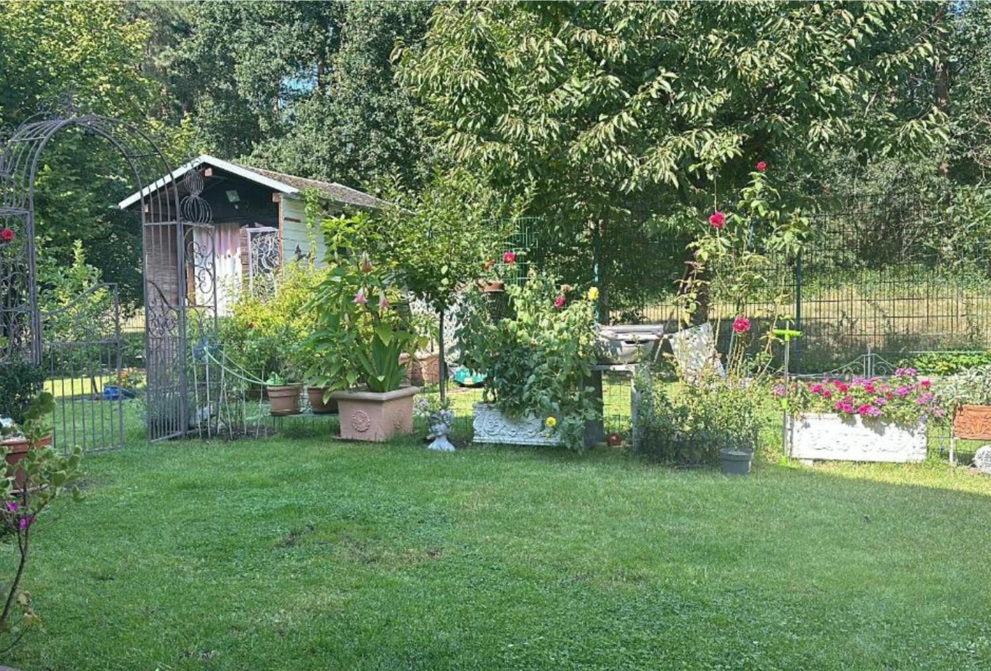 Grosse Helle Wohnung Am Wald In Bad Saarow Nahe Gruenheide Und Berlin Souterrain מראה חיצוני תמונה